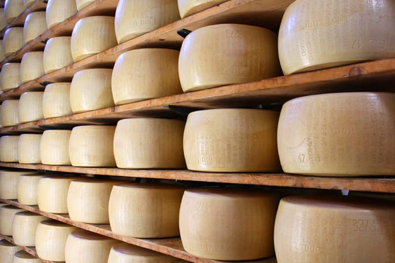 parmesan-cheese-factory-bardi